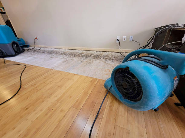 Professional Emergency Water Damage technician working in Glenwood Landing, NY